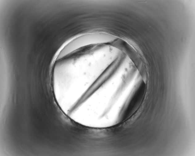 X0000085750816200704091315