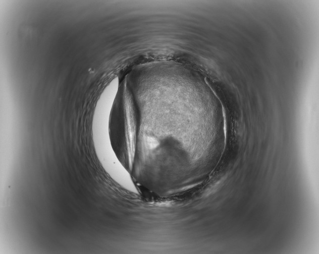 X0000085750818200704091314