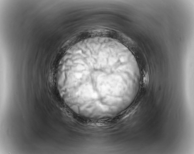 X0000085750819200704091314