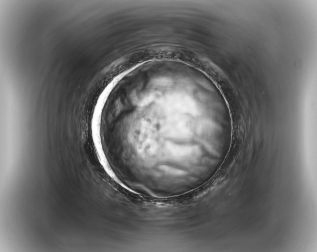 X0000085750821200704091314