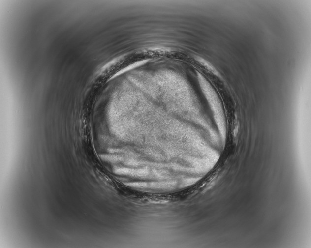 X0000085750822200704091314