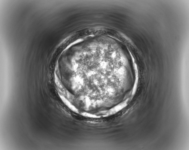 X0000085750823200704091314