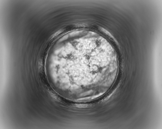 X0000085750825200704091314