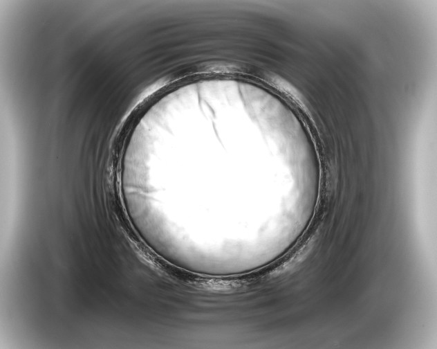 X0000085750827200704091314