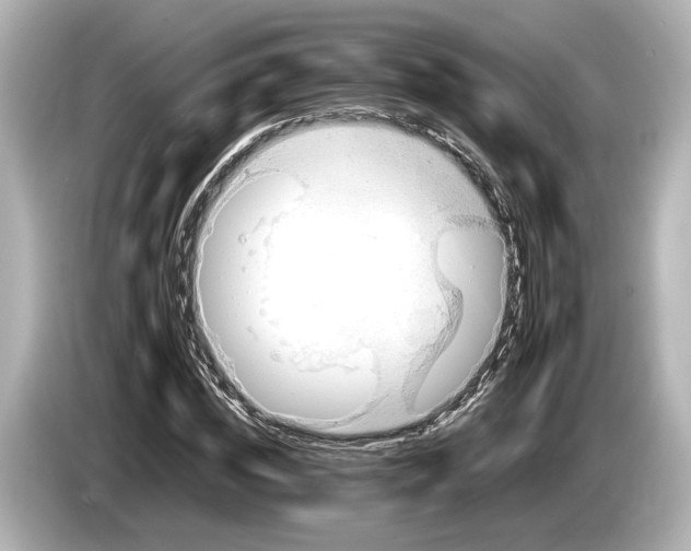 X0000085750828200704091314