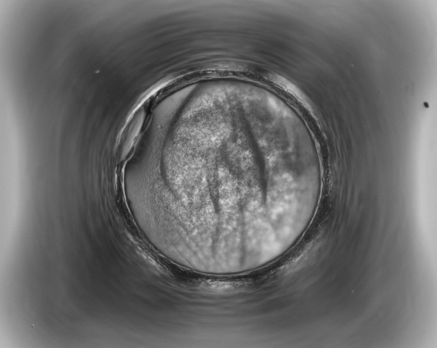 X0000085750829200704091314