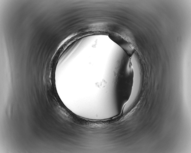 X0000085750830200704091314