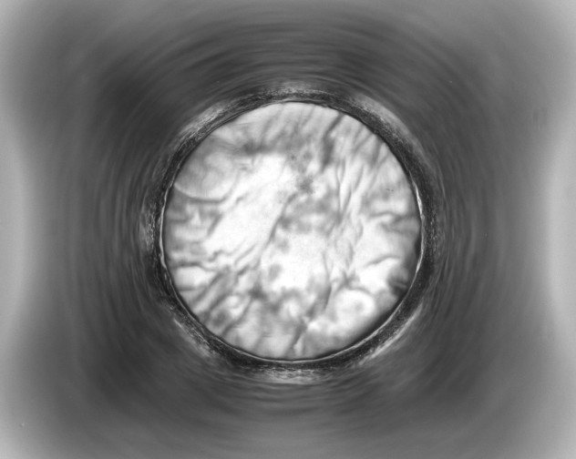 X0000085750833200704091314