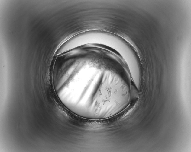 X0000085750834200704091314