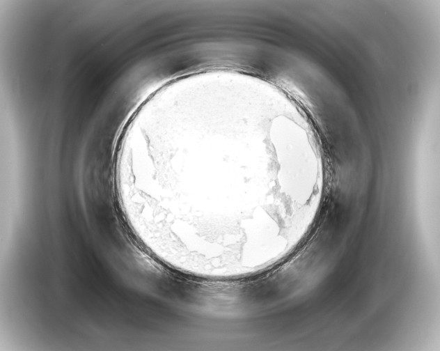 X0000085750836200704091314