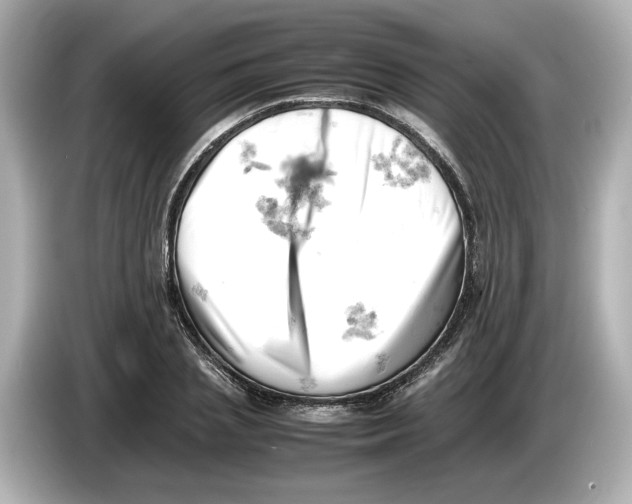 X0000085750837200704091314