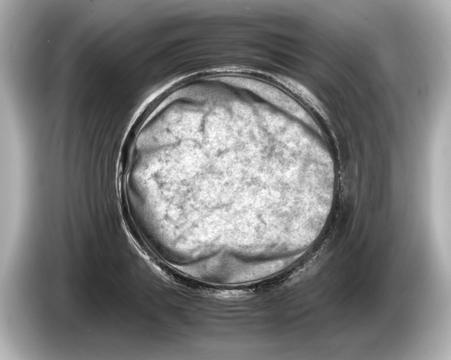 X0000085750839200704091314