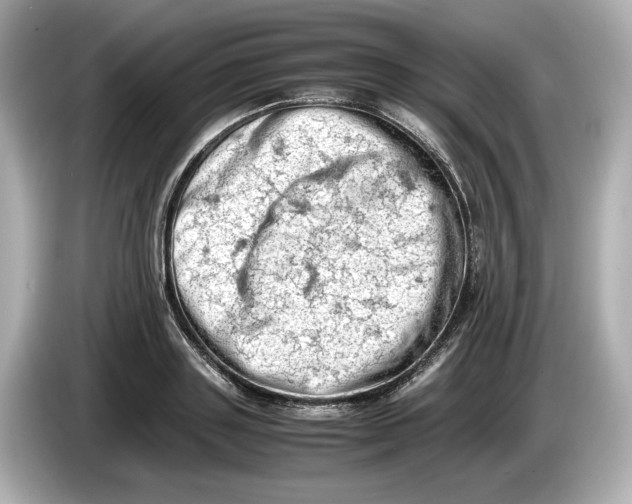 X0000085750843200704091314