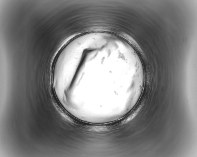 X0000085750844200704091314