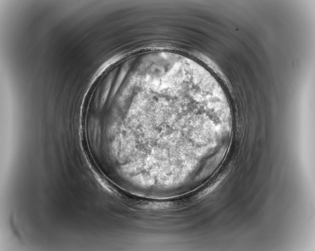 X0000085750845200704091314