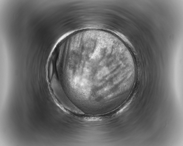 X0000085750846200704091314