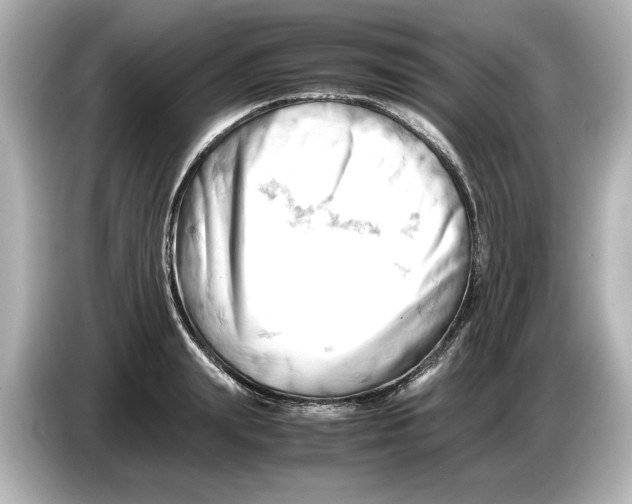 X0000085750847200704091314