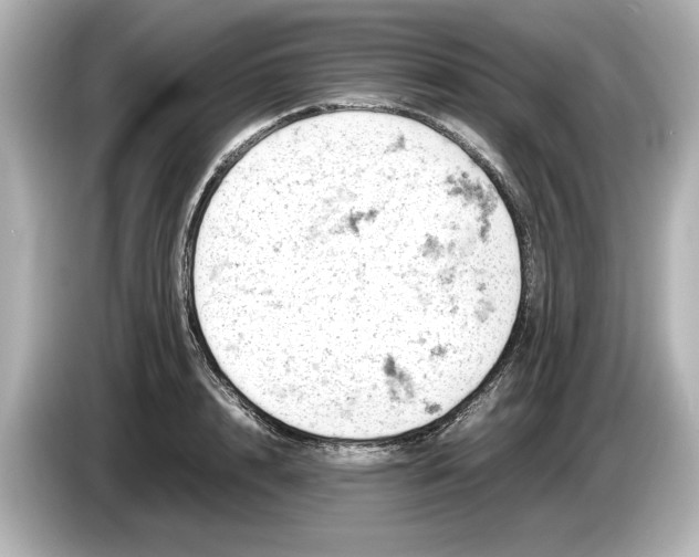 X0000085750848200704091314