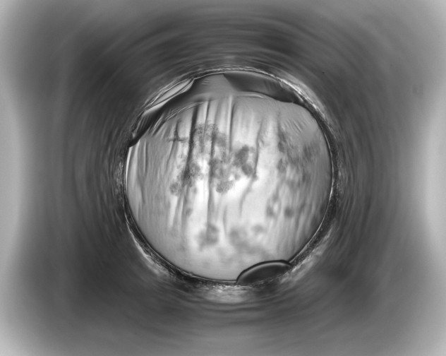 X0000085750849200704091314