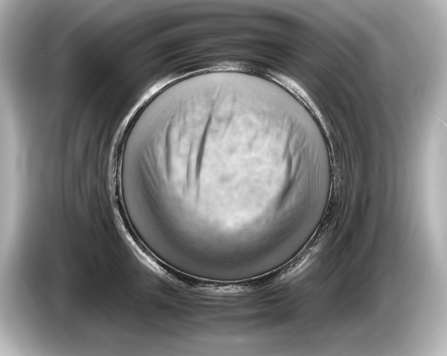 X0000085750851200704091314