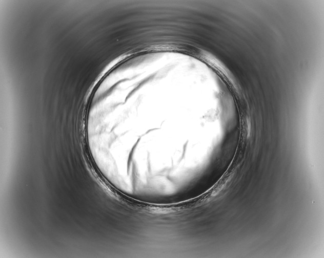 X0000085750852200704091314