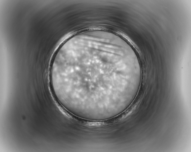 X0000085750853200704091314