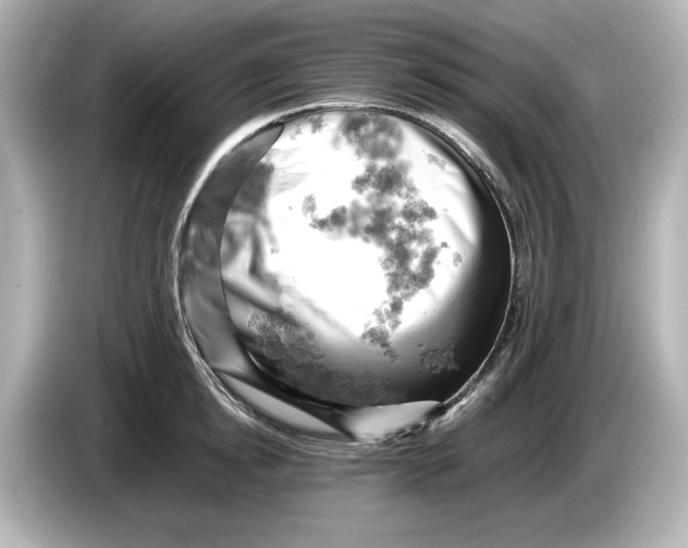 X0000085750854200704091314