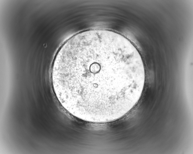 X0000085750856200704091315