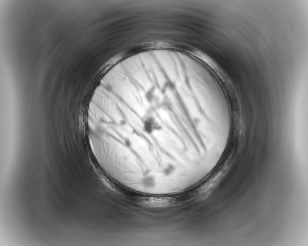 X0000085750857200704091315