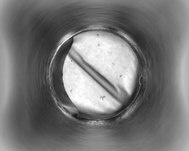 X0000085750858200704091315