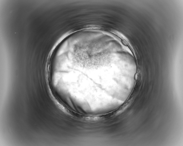 X0000085750859200704091315