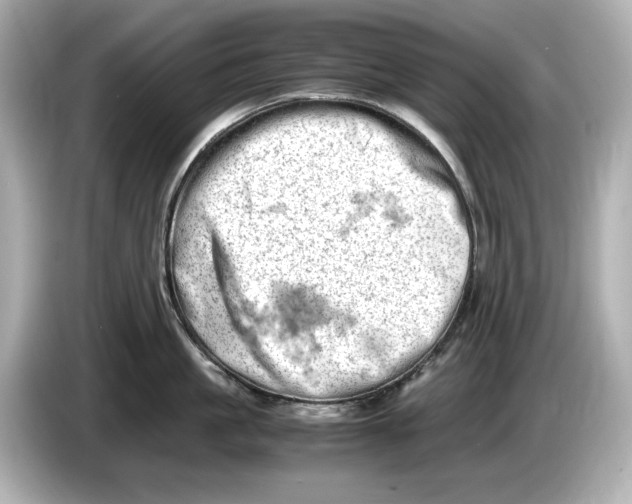 X0000085750861200704091315