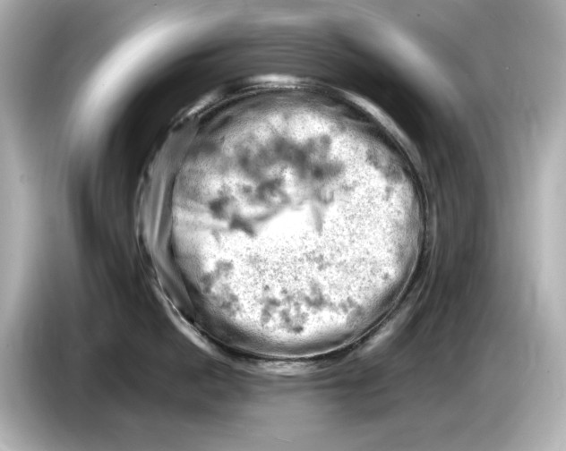 X0000085750862200704091315