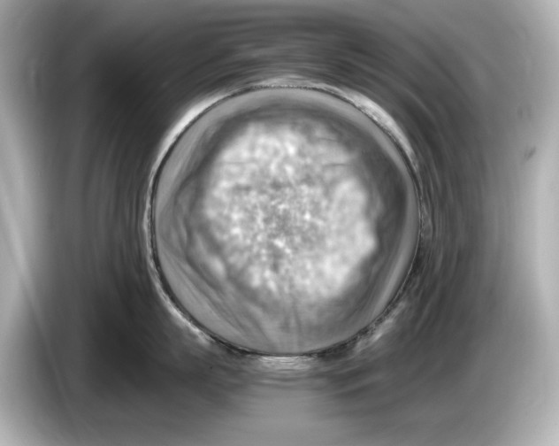 X0000085750863200704091315