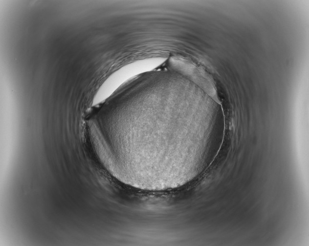 X0000085750868200704091314