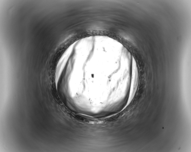 X0000085750870200704091314