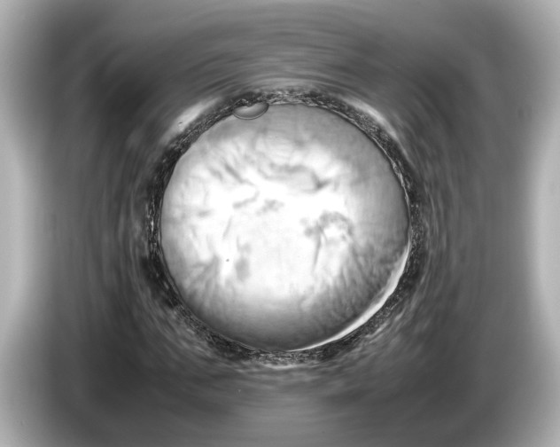 X0000085750871200704091314