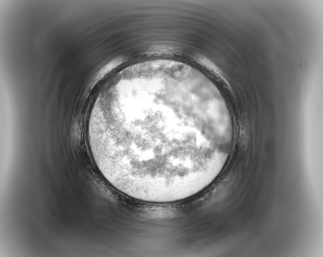 X0000085750874200704091314