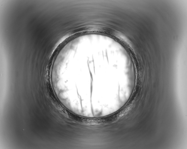 X0000085750875200704091314