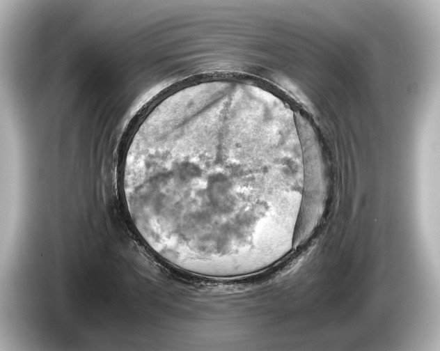 X0000085750877200704091314