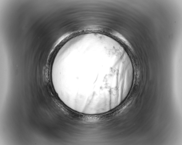 X0000085750878200704091314