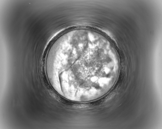 X0000085750879200704091314