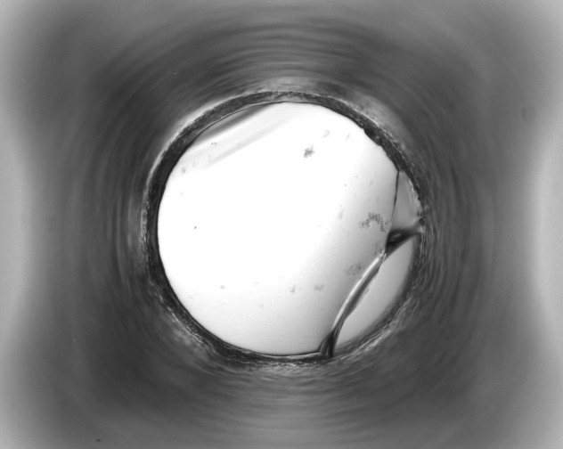 X0000085750880200704091314