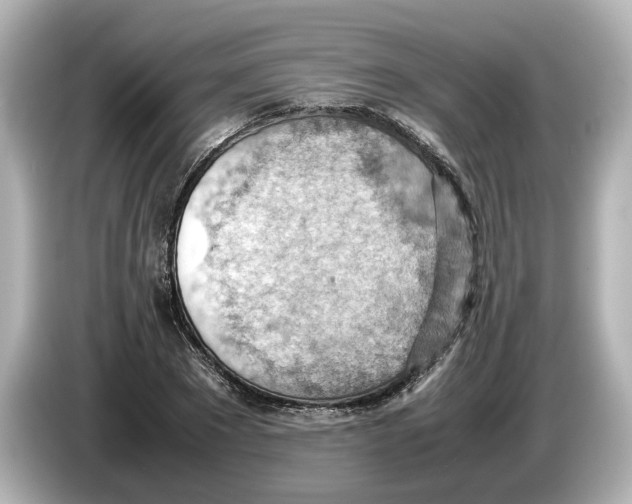 X0000085750881200704091314