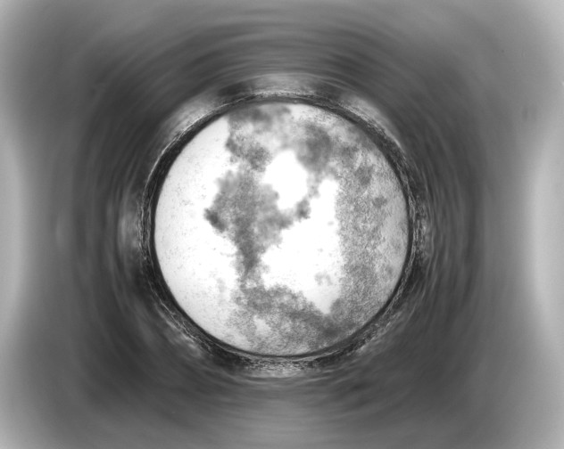 X0000085750882200704091314