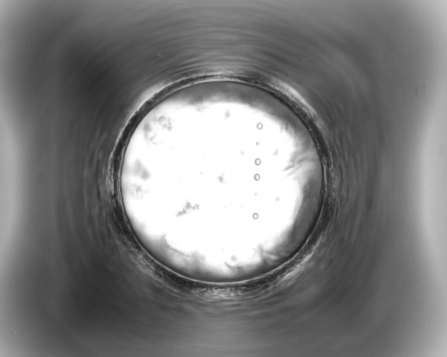 X0000085750883200704091314