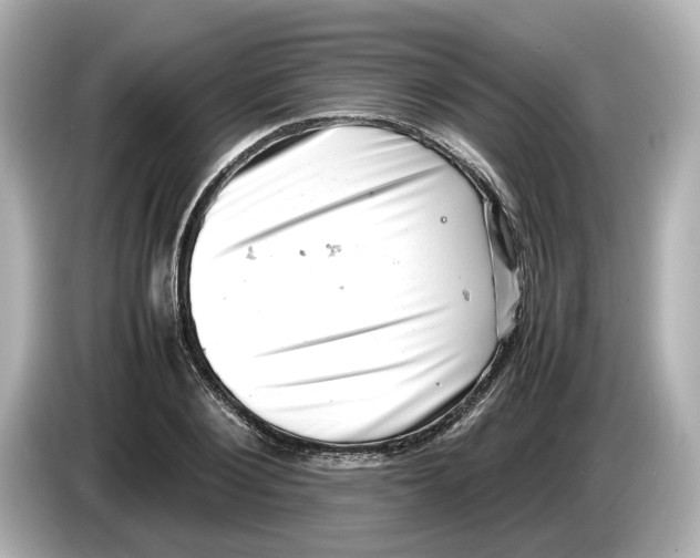 X0000085750884200704091314