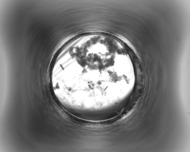 X0000085750885200704091314