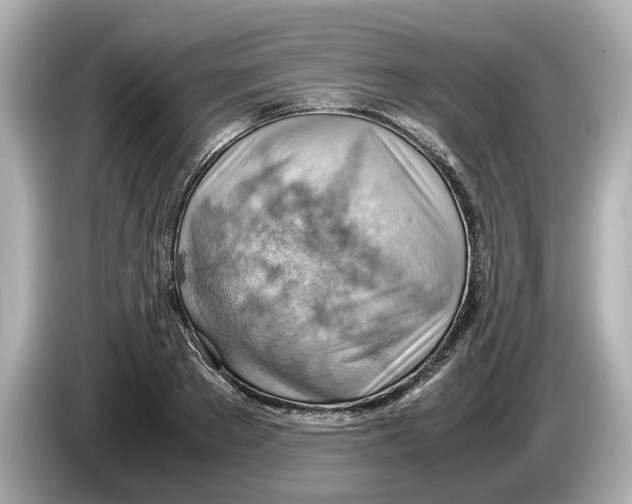 X0000085750889200704091314