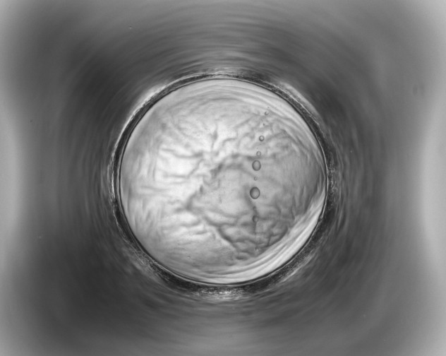 X0000085750891200704091314